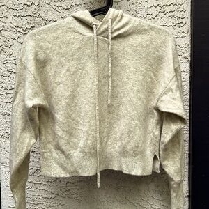 Aritzia Cashmere Babylon crop hoodie
